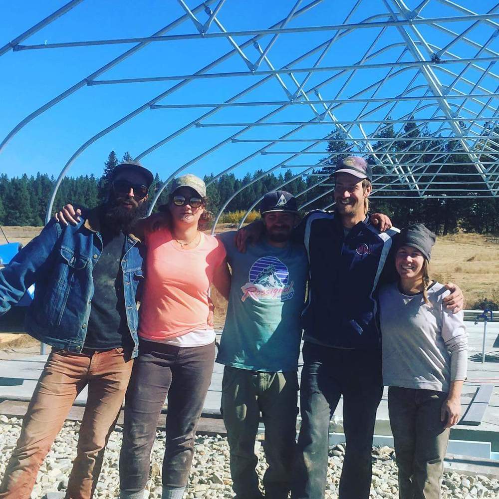 Meet your Posher, Katelyn